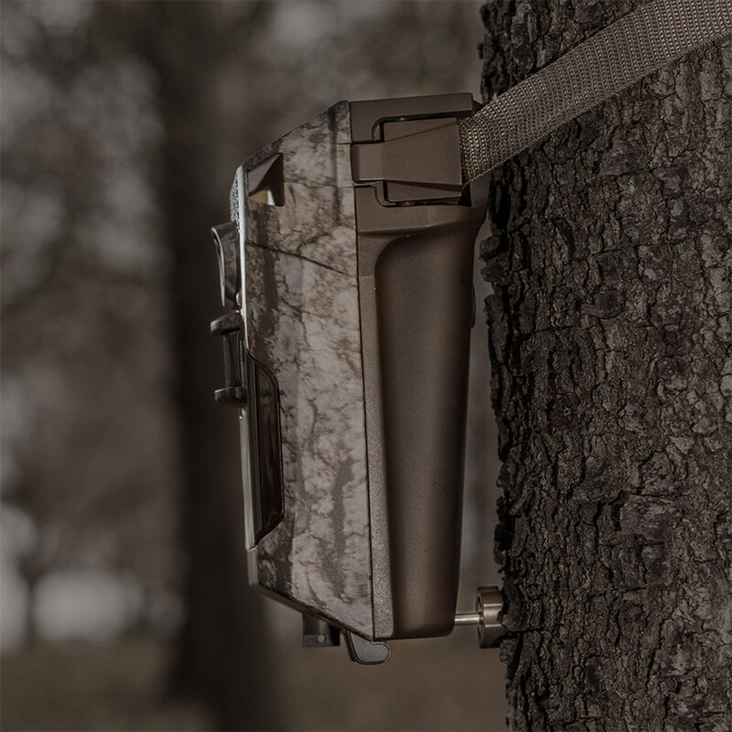 impulse cellular trail camera