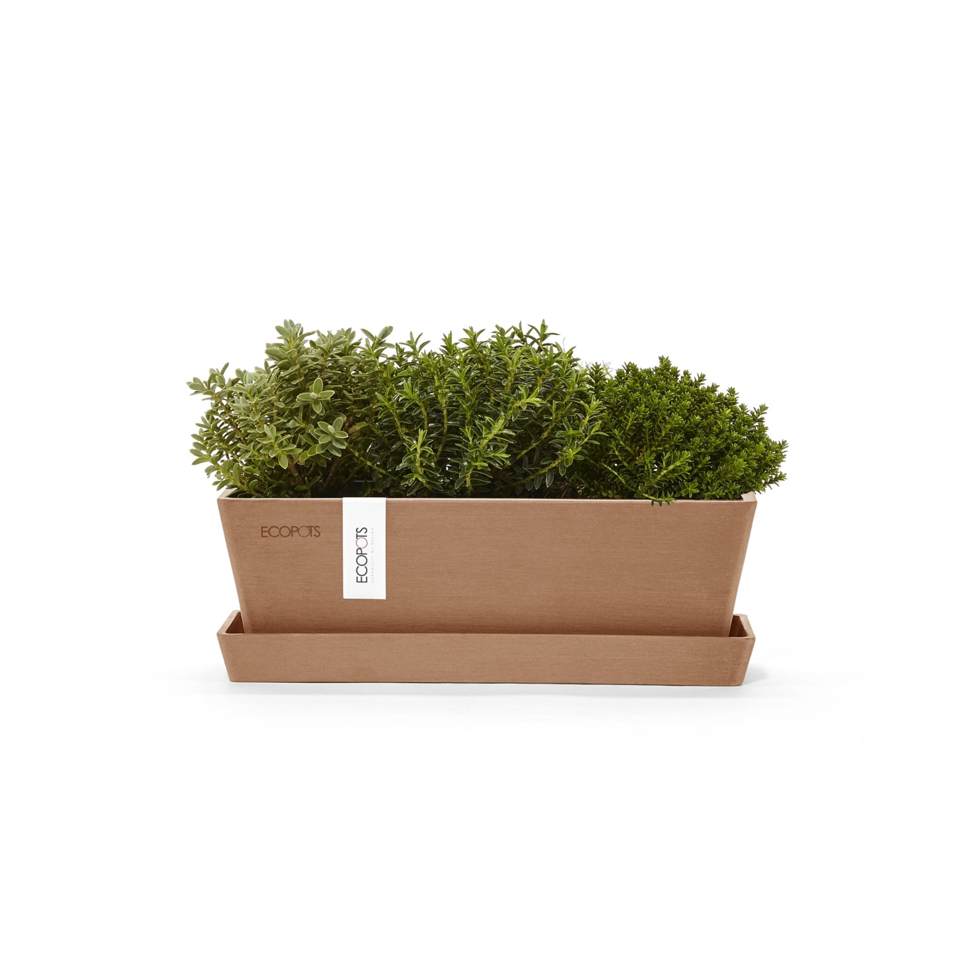 Ecopots Bruges Mini Durable Modern Rectangular Indoor/Outdoor Recycled Based Composite Flower Pot Planter with Saucer, Terracotta Color, 10"