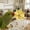 Yellow, variant on Interactive Parrot Foraging Toy, Rotating Stress Relief Disc, Mental Stimulation Bird Toy for Cockatiel Conure Budgie