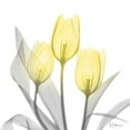thumbnail image 2 of Koetsier, Albert 12x12 White Modern Wood Framed Museum Art Print Titled - Brilliant Tulips 1, 2 of 4