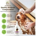 Anti-Itch Dog Shampoo: with 9 Natural Essential Oils and Ingredients ...