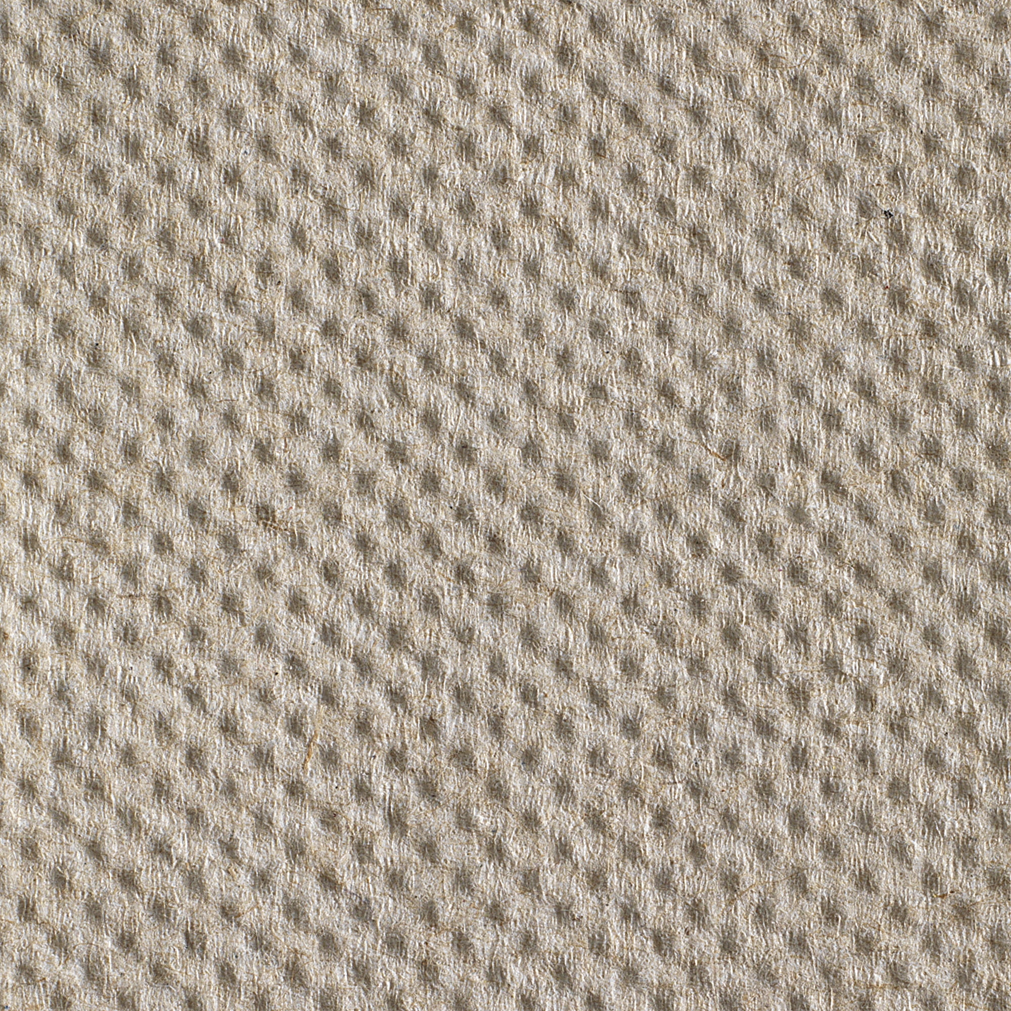 Georgia Pacific Professional 26301 Pacific Blue Basic Recycled 800 ft. x 7.87 in. Hardwound Paper Towel Rolls - Brown (800-Piece/Roll, 6 Rolls/Carton)