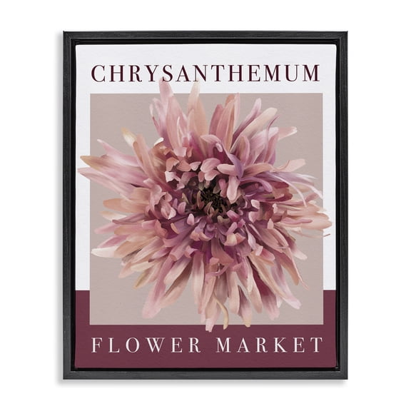Stupell Industries Contemporary Chrysanthemum Flower Market Black Floating Frame Canvas Art, 17 x 21, by Jennifer Stith