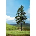 thumbnail image 1 of Faller 181312 Premium Spruces 15Cm 2Scenery And Accessories, 1 of 1