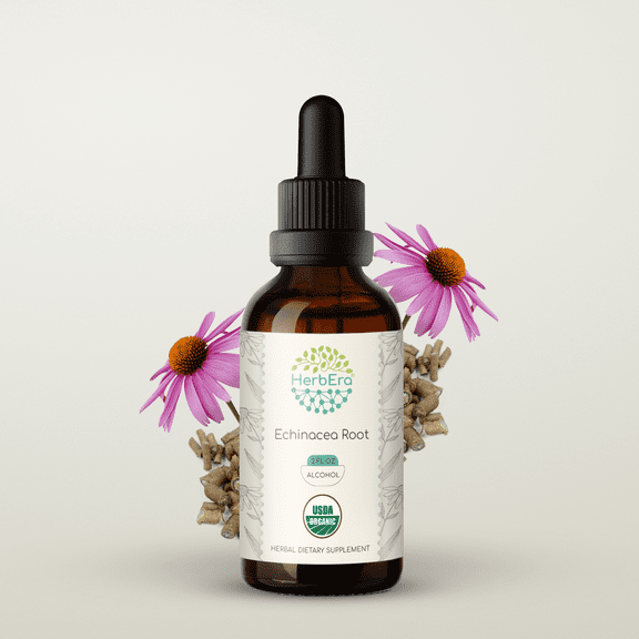 Echinacea Root Alcohol Herbal Extract Tincture, Super-Concentrated Responsibly farmed organic Echinacea (Echinacea Purpurea) Dried Root 2 oz