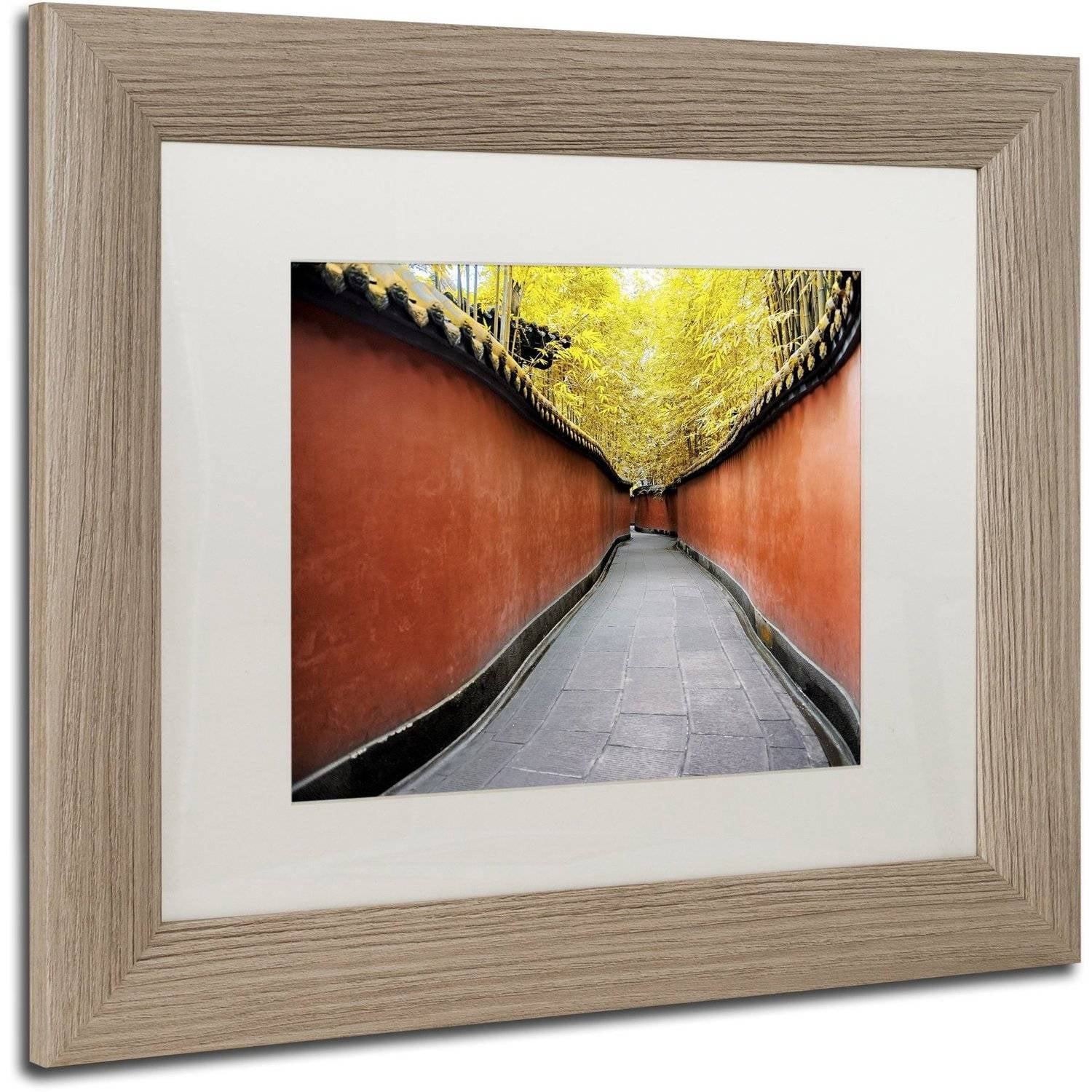Trademark Fine Art "Alley Bamboo" Canvas Art by Philippe Hugonnard, White Matte, Birch Frame
