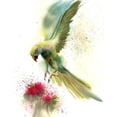 thumbnail image 2 of Shefranov, Olga 12x14 Gold Ornate Wood Framed with Double Matting Museum Art Print Titled - Green Bird, 2 of 4