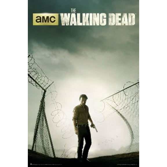 Walking Dead - Key Art Season 4 Poster by (24 x 36)