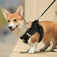 thumbnail image 3 of Gustave Soft Mesh Pet Dog Harness and Leash Set, No-Pull Pet Harness Adjustable Reflective Breathable Mesh for Small Medium Dogs and Cats (Black, Size XS), 3 of 10