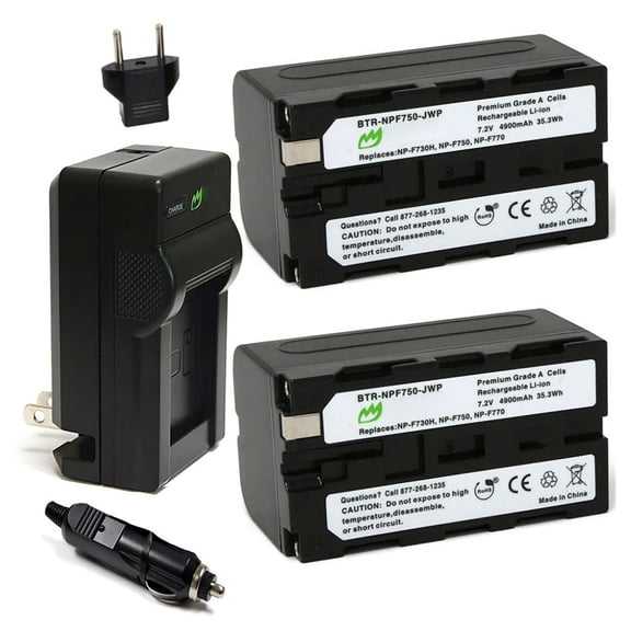 Replacement for Sony DCR-SC100 Battery (2-Pack, 4900mAh) and Charger with Car Adapter