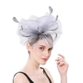thumbnail image 2 of Shisuyan Ladies Accessory Grey Artificial Feathers 1Pack for Tea Party and Dancing, 2 of 8