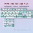 thumbnail image 1 of Mint Soda PBT Keycaps 125 Keys MOA Profile Dye Sublimation for Mx Mechanical Keyboard 61 64 87, 1 of 5