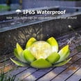 thumbnail image 5 of Waitmin Green LED Solar Lights Outdoor Decorative Waterproof Lotus Flower Lamp for Garden, Patio, Pathway, Lawn, and Yard, 5 of 7