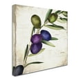 thumbnail image 3 of Trademark Fine Art "Olive Branch III" Canvas Art by Color Bakery, 3 of 4