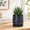 Midnight Blue-4 Inch, variant on Graphite Blue 4 Inch Embossed Leaves Ceramic Planter with Tray