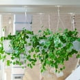 thumbnail image 5 of Retractable Adjustable Hanging Plant Hooks, Heavy Duty Indoor Outdoor, Transparent Ceiling Adhesive Hooks For Pothos Spider Plant, 5 of 6