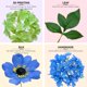 thumbnail image 4 of Corona para reina de primavera y verano, 60 cm, con hortensia azul, 4 of 7