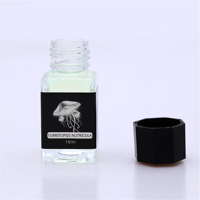 Tinta invisible divertida con tinta mágica que desaparece de color luz ultravioleta 18 ml embotellada