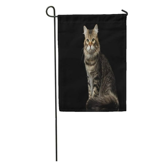 POGLIP Red Adorable Siberian Cat Sits Furry Tail on Front View Garden Flag Decorative Flag House Banner 28x40 inch