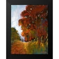 thumbnail image 2 of Tienhaara, Michael 15x18 Black Modern Framed Museum Art Print Titled - Falls Romance II, 2 of 5