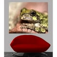 thumbnail image 2 of Wallhogs Batie's Frog Glossy Poster, 2 of 2