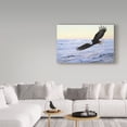 thumbnail image 3 of Trademark Fine Art 'Ocean Dawn Eagle' Canvas Art by Ron Parker, 3 of 3