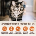 thumbnail image 4 of Wellness CORE Grain-Free Indoor Formula Dry Cat Food, 5-kg bag, 4 of 5