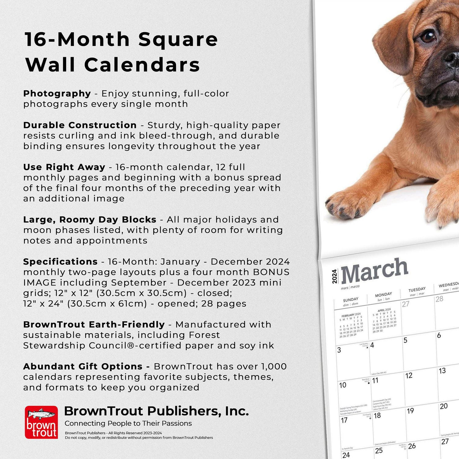 BrownTrout Puggles 2024 Mur Carré 30.48x60.96 CM, 9781975464677