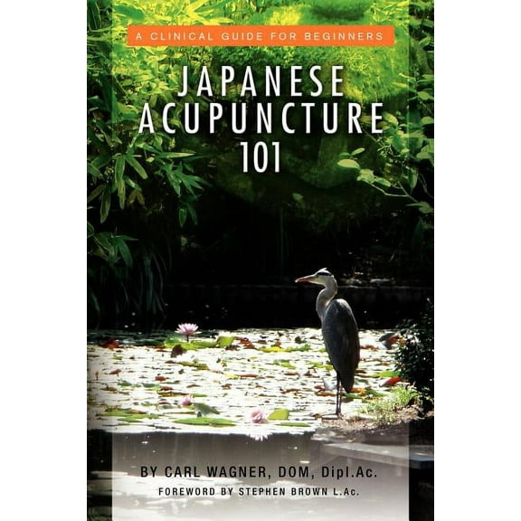 Japanese Acupuncture 101 (Paperback)
