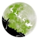 thumbnail image 1 of Las pegatinas compatibles con el techo Pegatinas de pared luminosas Verde, 1 of 6