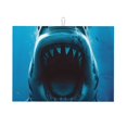 thumbnail image 1 of Fotbe Open-Mouthed Shark Alfombrilla de Secado para Cocina con Estampado, 18x24 Pulgadas, 1 of 7