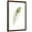 Brown Frame, variant on Art.com Watercolor Peacock Feather II Stretched Canvas Print Wall Art by Ethan Harper, 12" x 18"