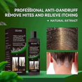thumbnail image 4 of Champú de jengibre anti-descamación 3x para la fijación del cabello, reparación, sequedad, daño, antipicazón, control de grasa, cabello esponjoso, sin rocío, 4 of 5