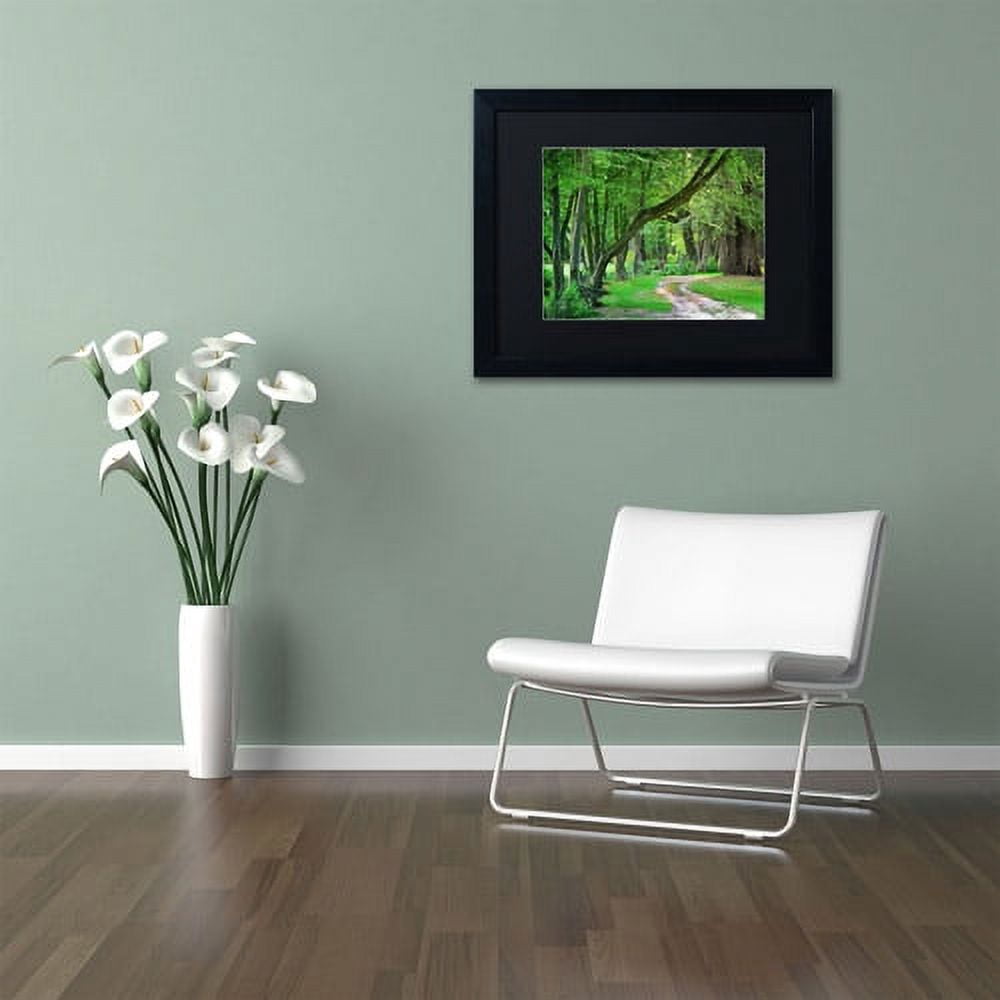 Trademark Fine Art "Intimate Landscape" Canvas Art by Philippe Sainte-Laudy, Black Matte, Black Frame