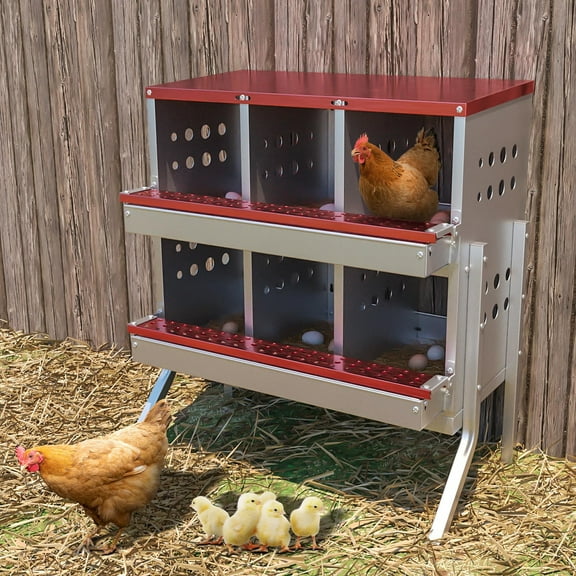 Wall-mountable Roll Away Metal Chicken Nesting Box for Laying Eggs, Rustproof Chicken Laying Boxes for Hens, Ventilated with Perch, Waterproof, 6 Compartments with Legs, Red