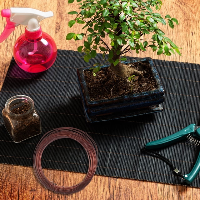 FOMIYES 1Jgo Para Soporte Y Entrenamiento De Plantas Bonsái De Durabilidad