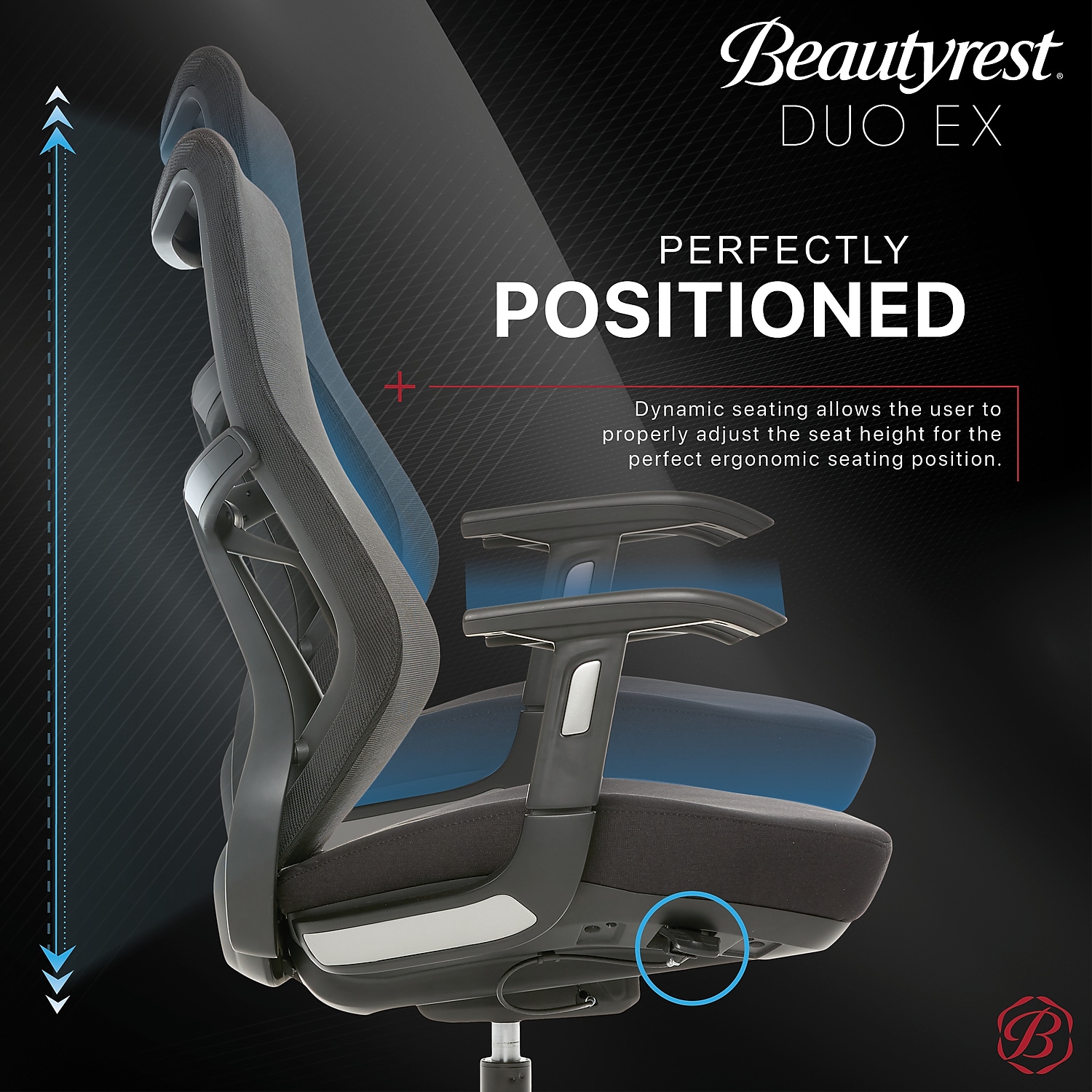 Zhejiang Hengyu Plastic Technology Co Ltd Beautyrest Duo-EX Mesh Seat Height Adjustment Swivel Desk Chair, Black/Gray