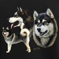 thumbnail image 3 of CafePress - Alaskan Malamute Women's Dark Pajamas - Women's Short Sleeve Print T-Shirt and Pants Dark Cotton Pajama Set, 3 of 7