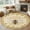 Brown, variant on Rectangle Area Rugs 2 x 3 Ft, Bees Non-Slip Residential Carpet, Daisy Flowers Spring Summer Honey Floral Leaf Plant Indoor Crawling Mats Runner Rugs for Living Room/Dining Room/Bedroom