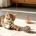 thumbnail image 6 of FEOLGEHLY Catnip Toy Set for Indoor Cats Silvervine Cat Toy Cat Teething Toy Cat Chew Toy Multi-Shape Fish Ball Mouse Feather Boredom Relief (Brown C), 6 of 7