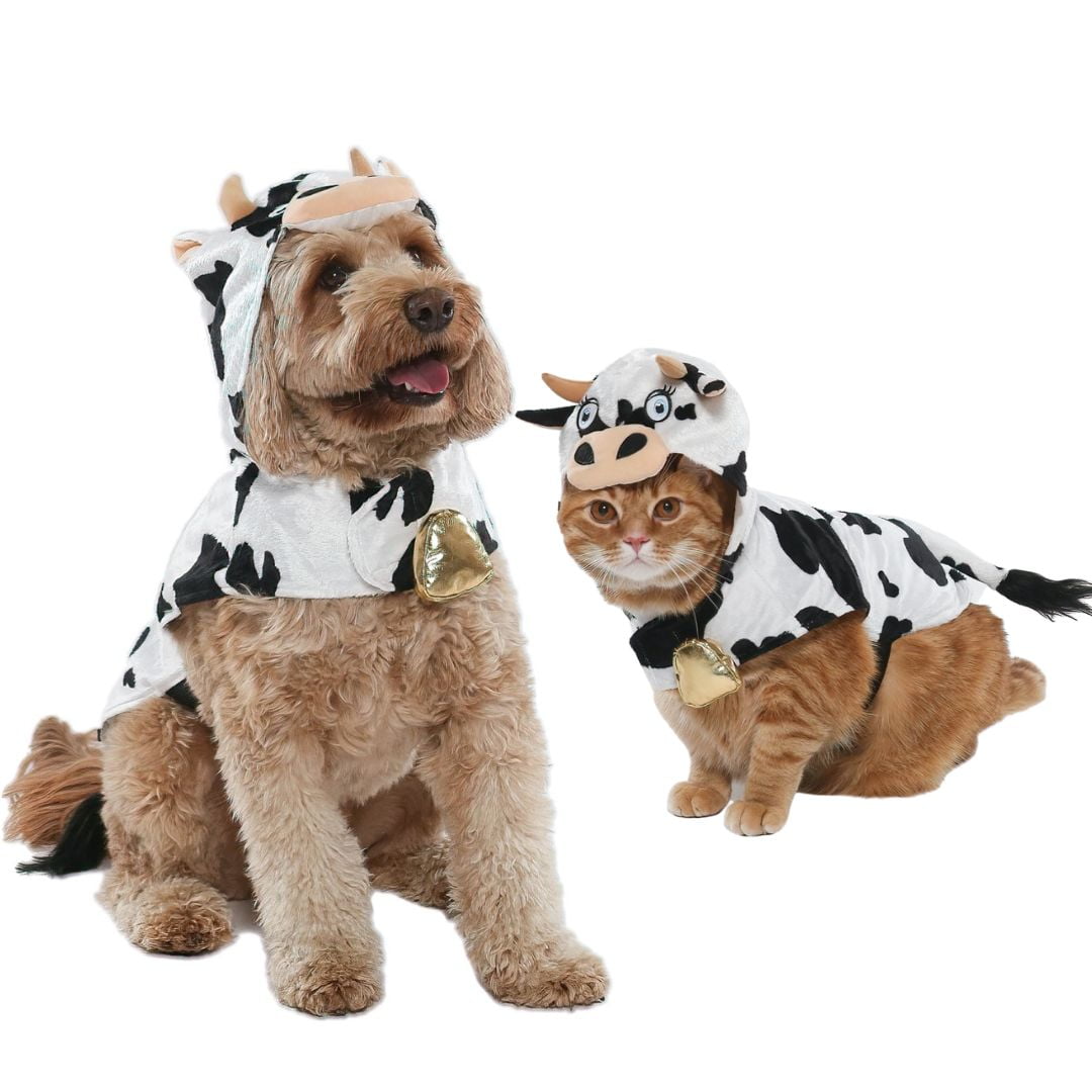 costume small dog