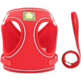 thumbnail image 3 of LAICAIW Dog Harness and Leash Set, No-Pull Breathable Soft Mesh Puppy Vest Harness Reflective Adjustable Pet Harnesses for Small Medium Large Dogs and Cats-Outdoor Easy Control for Walking, 3 of 7