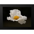 thumbnail image 2 of Crane, Rita 14x11 Black Modern Framed Museum Art Print Titled - Floating Matilija II, 2 of 5