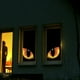 thumbnail image 1 of Uuiauoio Spooky Halloween Window Stickers with Animal Eye Design for Scary Party Decorations Reusable Polyester Curtains for Indoor Outdoor Use, 1 of 6