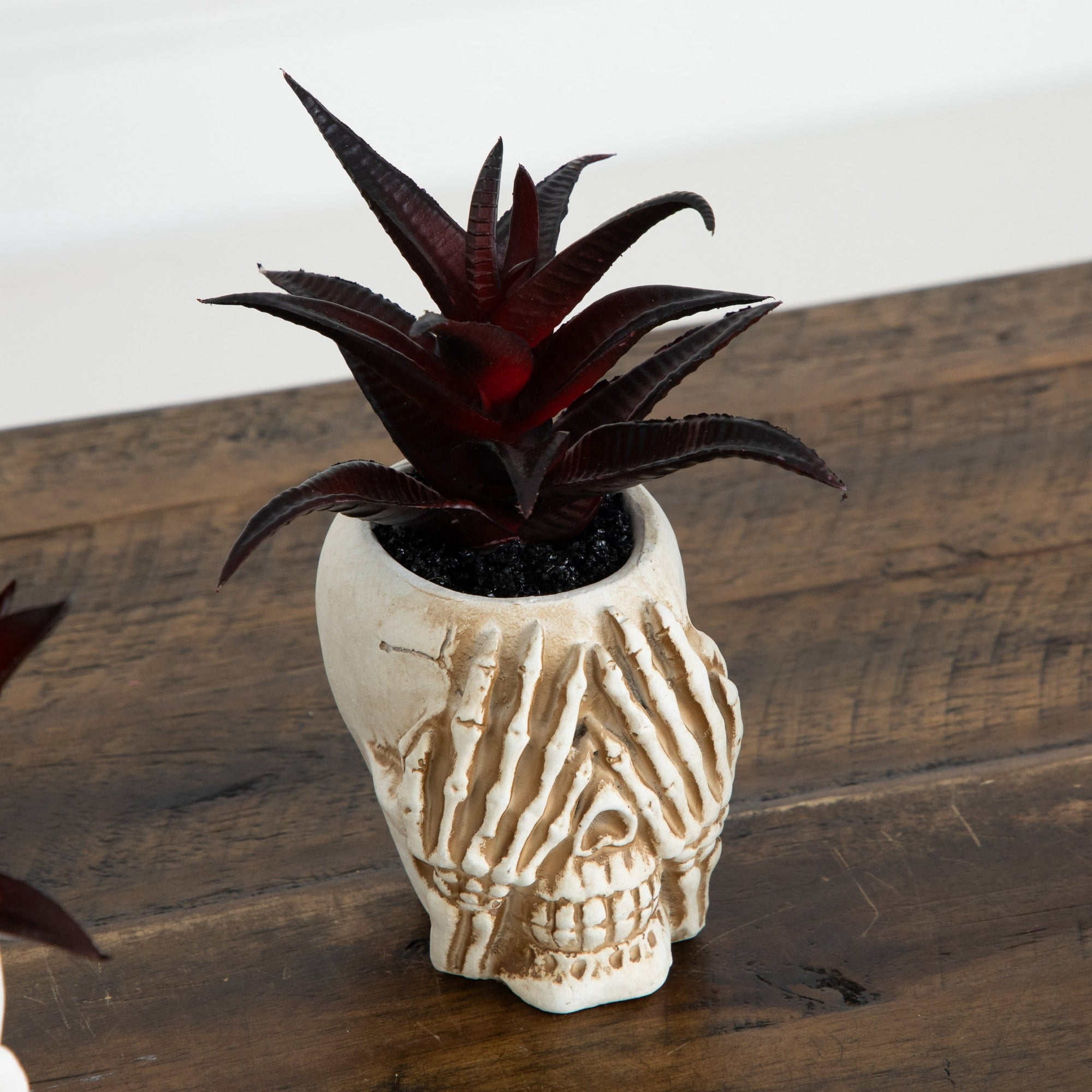 6in. Artificial Halloween Speak, Hear, See No Evil Succulent Plant Skull Decor - Set of 3