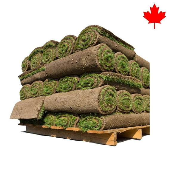 500 Sq Ft Grass Sod