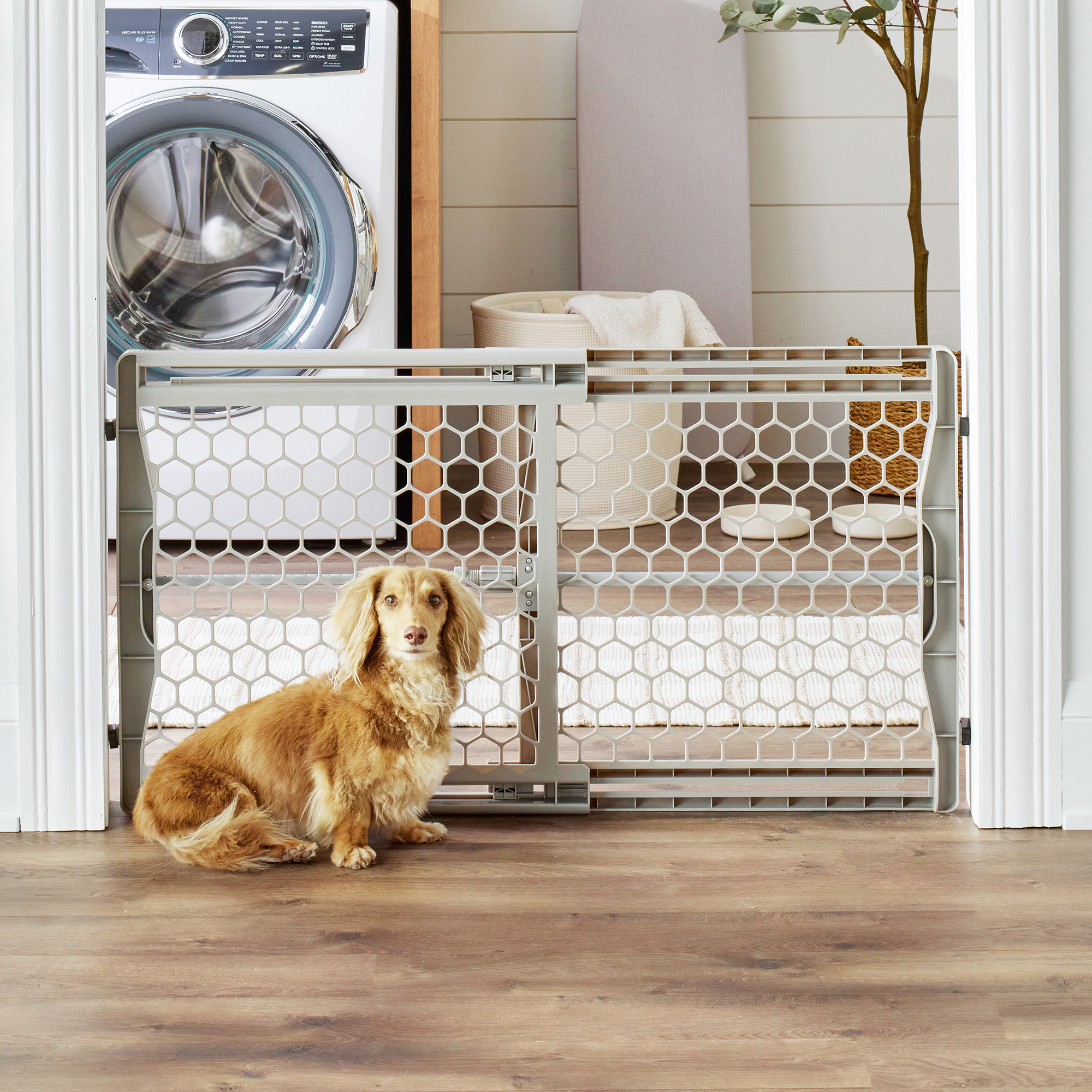 Carlson Easy Fit Plastic Expandable Pet Gate, 28-42 inches photo 8