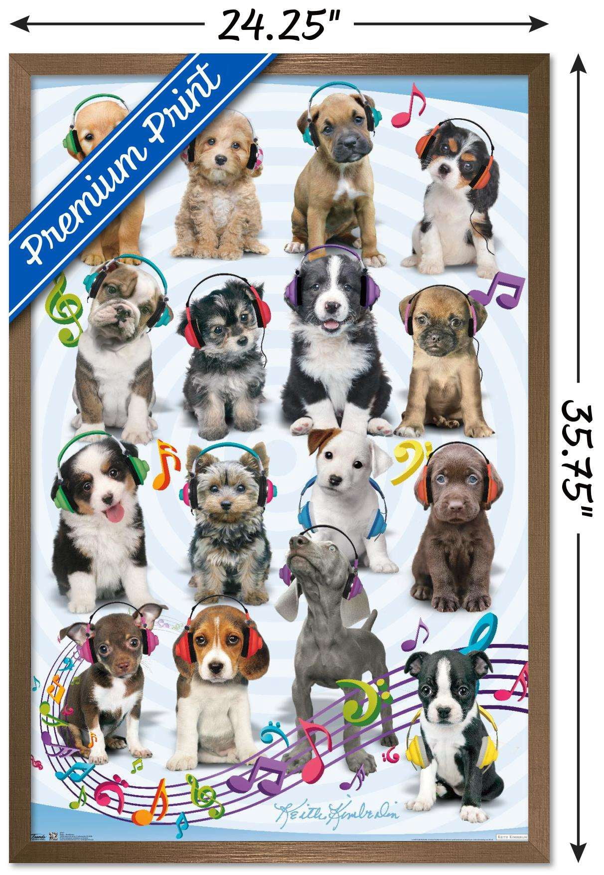 Keith Kimberlin - Puppies - Headphones Wall Poster, 22.375" x 34", Framed