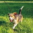 thumbnail image 4 of WIRESTER Reflective Pet Leash for Small Dogs, Space Age Galaxy Black, 4 of 5
