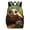 HuWng-2, variant on Cute Beach Turtle Big Student Laptop Backpack For College Women Middle High Teen Bookbag Travel Daypack